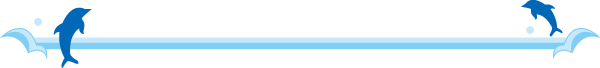 イルカの水平線